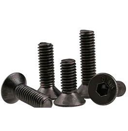 Socket Head Cap Screws