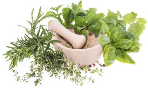 Medicinal Herbs