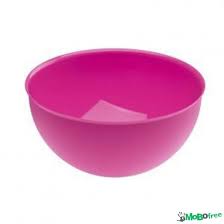 Plastic Soup Bowl