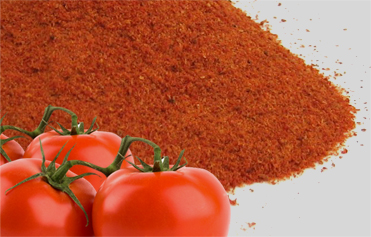 Tomato powder, Ingredients : Fresh Tomato Puree/Paste