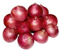 Onion