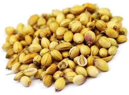 Buyer Brand Coriander Seeds, Packaging Type : 25Kg PP Bag