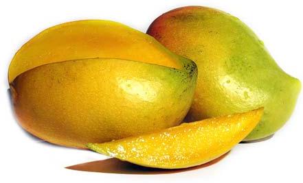 Fresh Mango,fresh Mango