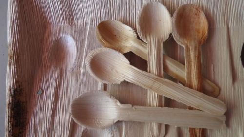 Areca Leaf Spoons