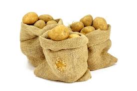 Fresh potato, Usage/Application : Cooking, Baking, Frying, Boiling