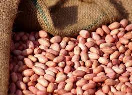 Peanut kernel