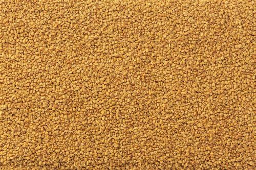 Coriander Seeds & Powder, Shelf Life : 12 MONTHS