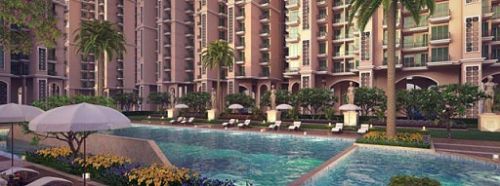 Residential construction service