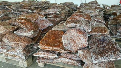 JAY Dried Tamarind, Packaging Type : Customzied