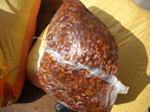 Tamarind With Seed