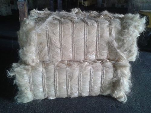 Sisal Fiber, Packaging Type : in belas of 100 kg