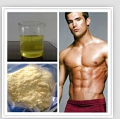 Testosterone Propionate, Grade : IP / BP / USP