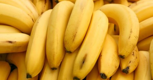 Fresh banana, Storage : Room Temperature Or Refrigerated