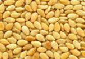 Hulled Sesame Seed