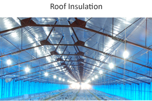 Roof Insulation