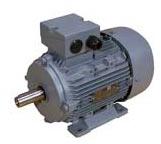 Industrial Motors