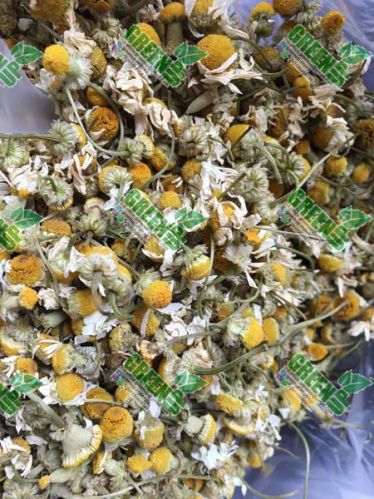 Senna Pods, Brand Name : greenup for import export