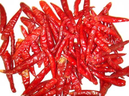 Dried Red Chilli