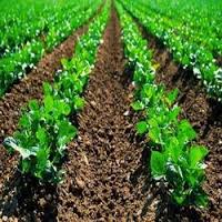 Bio Fertilizer Manufacture In Jaipur