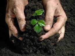 Bio Fertilizer Supplier In Gujrat