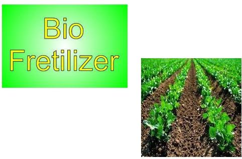 Bio Fertilizer Supplier In Rajasthan