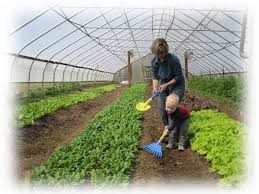 Farm House Development Service