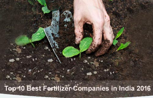 Plant Growth Promoter Supplier In Jaipur