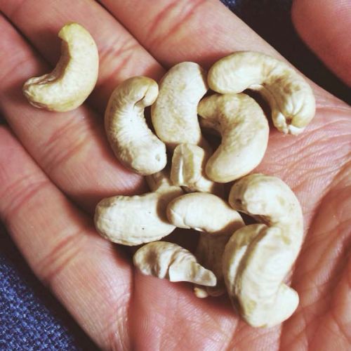 Cashew nuts, Color : White, Creamy