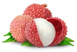 Organic Lychee, For Food, Packaging Type : Container