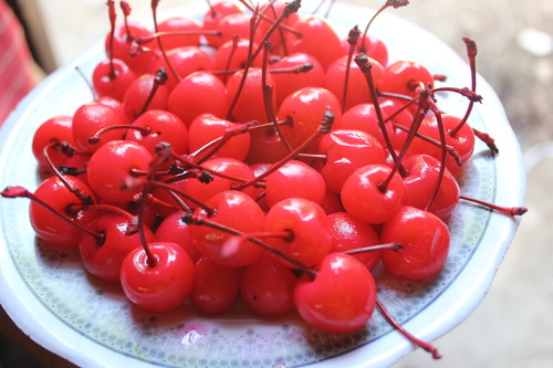 Natural Red Cherry With Stem, Taste : Sweet