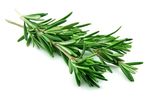 Leaves Leaves Rosemary, For Cosmetics, Hair Products, Medicinal, Form : Dried