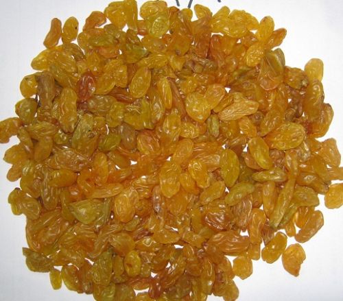 Golden raisins, Feature : High In Protein