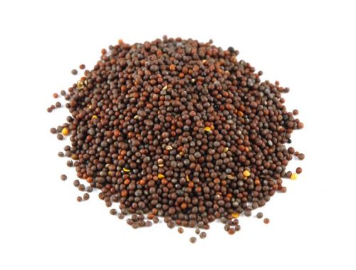 Mustard seeds, Color : Yellow