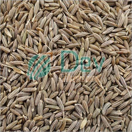 Cumin Seeds