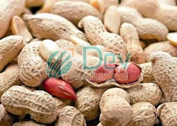 Shelled Groundnuts, Is It FSSAI Certified : Yes