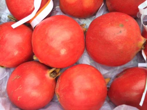 Fresh pomegranate, Type : Fresh