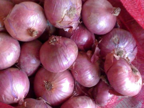 Fresh red onion For Cooking