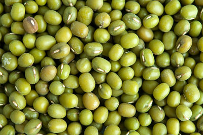 Mung Beans, Feature : Gluten Free, High In Protein