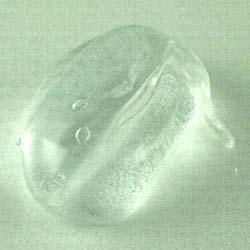 Aloe Vera Clear Gel, For Parlour, Personal, Packaging Type : Bottle, Drum, Plastic Pouch