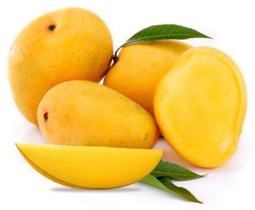 Fresh Mango,fresh Mango, Packaging Type : 5 Kg In CFB Box
