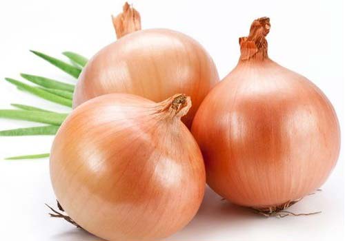 Fresh Onion