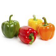 Round Fresh Capsicum, For Cooking, Packaging Type : Jute Bag