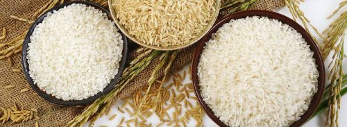 Hard Organic Basmati Rice, For High In Protein, Variety : Long Grain, Short Grain