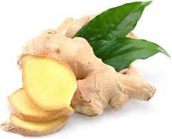 Ginger, Cultivation Type :Organic