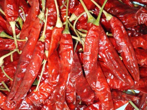 Dried Red Chilli, For Food, Making Pickles, Feature : Hot Taste, Hygienic Packing
