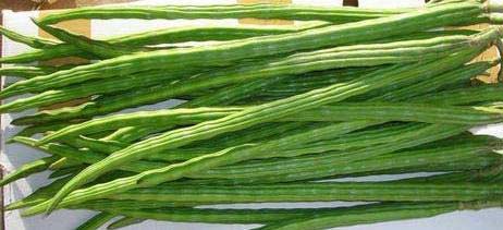 Fresh drumsticks, Country of Origin : India