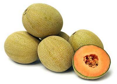 Fresh Muskmelon