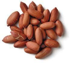 Peanut Kernels