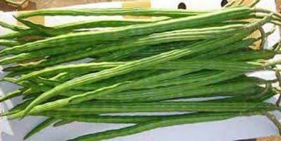 Fresh drumsticks, Feature : Good In Taste