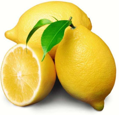 Fresh lemon, Cultivation Type : Natural